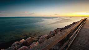 ����-���� �� ����, �������, ����, ������, ����� �� ������ ����, ����� ����� ����, ���� ������ ��� �����