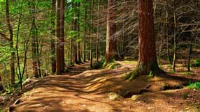 ����-���� �� ����, �������, ����� ���, ������ � ����, ���, ������ �����