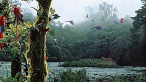 ����-���� �� ����, �������, ������� � ����, ������, ��������, ������� �������, ����