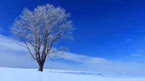 ����-���� �� ����, �������, ���� � �����, ����, �������� ����������� ������, ����� ����