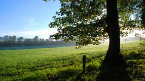 ����-���� �� ����, �������, ������ ����, �����, ������� �����.� ������ � ����, ����� ������, ����� ����