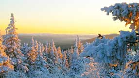 ����-���� �� ����, ������, �������, ��������� ������ ���, ����, ��� � �����, ���, ����� ����, ������ � �����