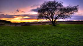 ����-���� �� ����, �������, ������� �����, ����, ������ ����� �����, ������ �� ������ � ����� ������