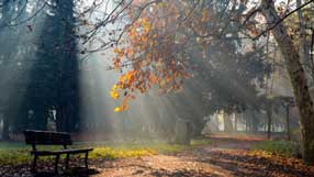 ����-���� �� ����, �������, ����, ��������, ������ ���������, ��� ������������, ��� ������