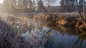 ����-���� �� ����, �������, �����, �������, ��������, ����, �������� ��� �� ������, ���������� ����