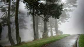 ����-���� �� ����, �������, ����� ���, ����� � ���� �� ��������, �������� ���, ������ �����