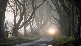 ����-���� �� ����, �������, �������� ��������� ������ ������� ����� ������, ������ � ����� ������, �����