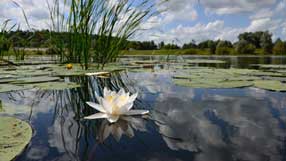 ����-���� �� ����, ������, ����� ��������, �����, ������������ �����