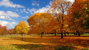 ����-���� �� ����, ������, ������ ������, ����, ������� �����, ������� �����