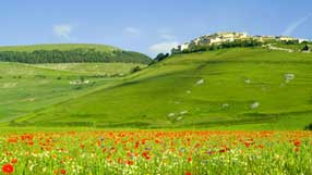 ����-���� �� ����, ������, ������� ����, ����, ����, ������� ���, ������� ����, ��������, �������