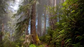 ����-���� �� ����, �������, ���� �����, ������� ����, ������ �� ����, ����� ����