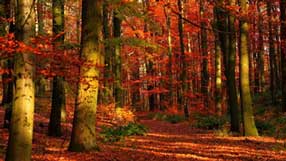 ����-���� �� ����, �������, ���������� ���, �������������� �������, ������� �����, ������� ������, ������, ������� ������ �� ������, ���