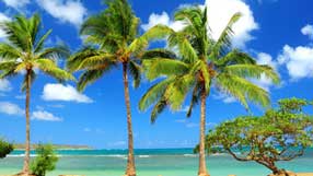 ���-���� �� ����, ������, ����� � ������, ������, �����, �����, �����, ������� ����