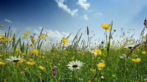 ����-���� �� ����, �������, ������� �����, �������, ������, ������ ��������, ����� ����, ������ ���