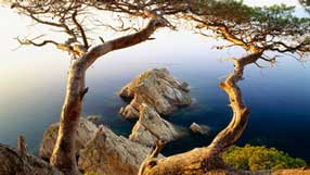 ����-���� �� ����, �������, ����� � ����, ���������� ������� ����, ����� ��� �������