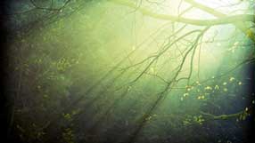 ����-���� �� ����, �������, ���, ���� ������ ����������� �� ������ ������