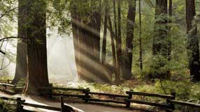 ����-���� �� ����, ���� �������� ���� �� ������, ���� � ������� �������