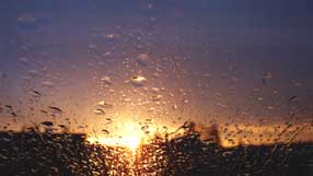 ����-���� �� ����, ������, �����, ����� �� ������, ������ ����� �����