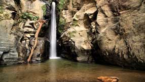 ���-���� �� ����, �������, �������, ������, �����, �����, ���