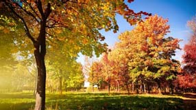 ����-���� �� ����, �������, ������� �����, ��� �������, ���������� ��� ������, ������ ���������, ������, ���