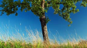 ���-���� �� ����, �������, ����, ������, ������� �����, ����� ����