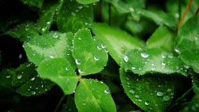 ����-���� �� ����, �������, ����� ������ �������, ����� ���� �� ������, ����� �����