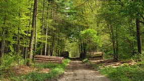 ����-���� �� ����, ���������� ���, ������ � ����, �����, ��� �����, ������ ���