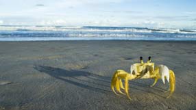 ����-���� �� ����, ����� ���� �� �����, ����� ����, �����, ������� ����