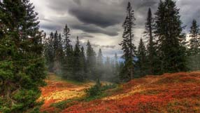 ����-���� �� ����, ������ ������, ���� ������, ������� ���, ������� ���, ����, ����� ����