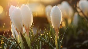 ����-���� �� ����, �������, �����, ������������, ����� �� ������, ����, ����� �� �����, ������ ���