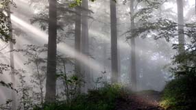 ����-���� �� ����, �������, ���, ���� ������ ������ ������ , ����������, ���������� ���, �����, ����� � ����