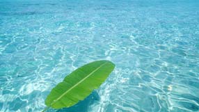 ����-���� �� ����, �����, ��������� ����, ���������� ����, ����, ��������� ����