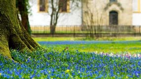 ����-���� �� ����, �������, ����� ��������, ������� �����, ����� ����������, ����