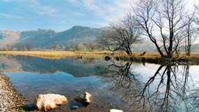 ����-���� �� ����, �������, ���, ����, �������, ����, �����, ���������� ����