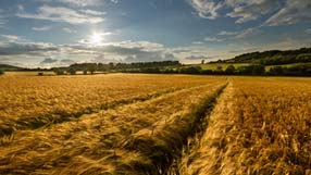 ����-���� �� ����, �������, ��������� ����, ������ ������� �������, ����, �������, ���� ������