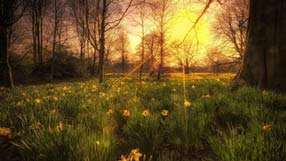 ����-���� �� ����, �������, ��������, ������� �����, ���, ����� ������, ����, �������