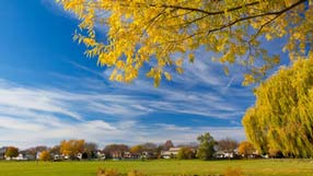 ����-���� �� ����, �������, ������� �����, ������ ������ �� ��������, ����, ����, �������, ������, ���� �������