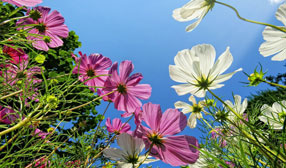 ����-���� �� ����, ����� �����, ������� ������� �����, ������� �����