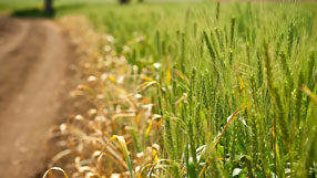 ����-���� �� ����, �������, ��������� ����, ������ �������, ������ � ����, �������, ���� ������