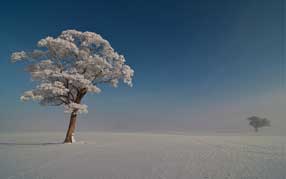 ���� �� ���� �������, ����, ������ � ����, ���� � ����, ������ ������ 