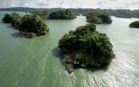 ����-���� �� ����, �������, �������