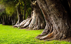 ����-���� �� ����, ����, ������ ���, ������ ������ ��������, ����