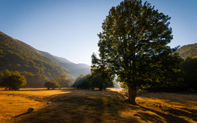 ����-���� �� ����, ������, �������, ����, ������ ���, ����, �������