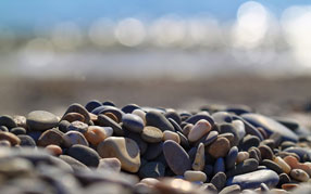 ����-���� �� ����, �������, �����, ����� �������, ������� �� ������ ��� �������