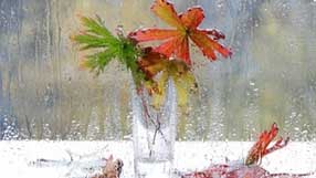 ���� �� ���� ����� �� �������, ������ � �������, �����