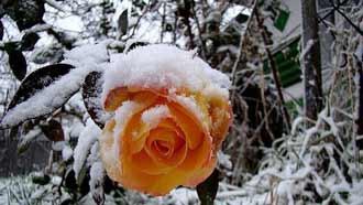 ���� �� ����, ���� � �����, ������ ����, ������ ����