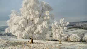 ���� �� ���� �������, ����, ������� � �����, ����