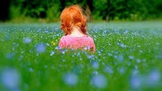 ���� �� ����, ������� � ����, �� ���� ��������, ����, ������