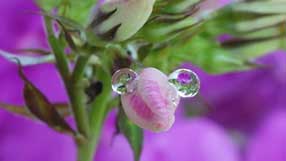 ���� �� ���� �������,  ����� ������, ���������� ���, �����