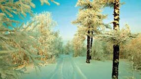 ���� �� ���� �������, �������� �������, �����, ������� ���� ������� ������